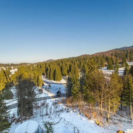Pine Woods A43 In Silver Mountain * Poiana Brasov