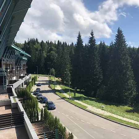 Pine Woods A43 In Silver Mountain * Poiana Brasov